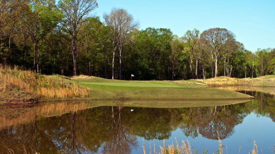 Mirimichi GC: #8