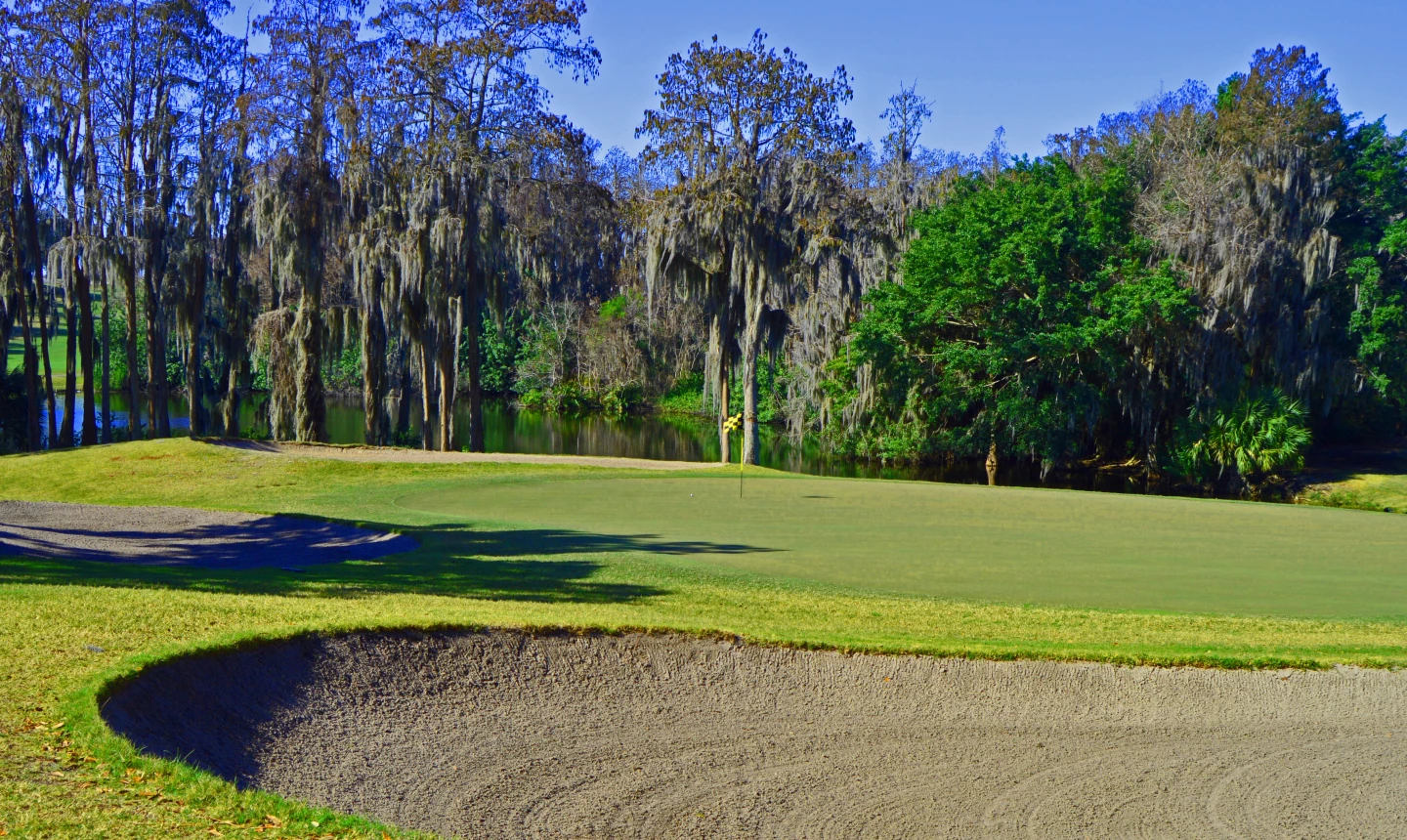Island golf course - Innisbrook Resort - no. 18