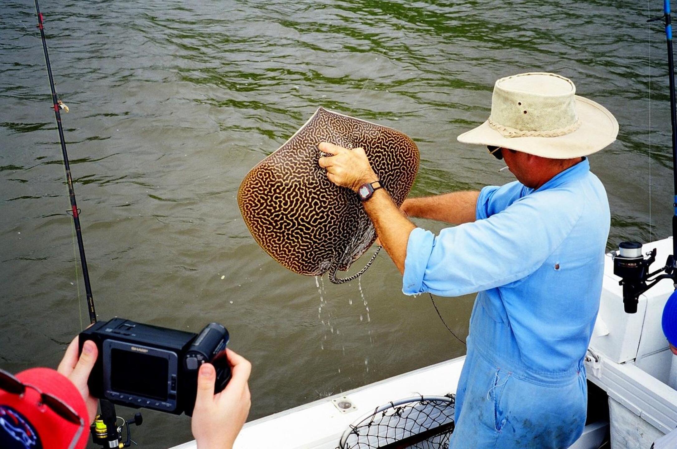 Daintree River fishing (Photo submitted by DYakimec on 09/15/2018)
