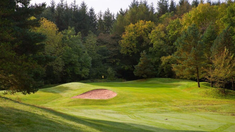 Mold GC