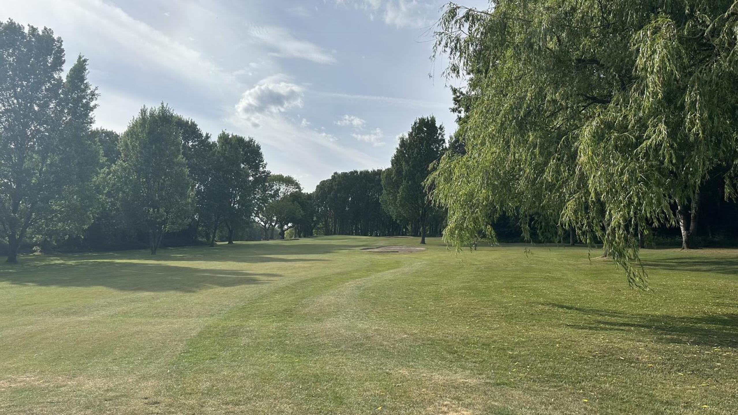 (Photo submitted by ZynWWut7ws84T6xViVNP on 05/25/2025)