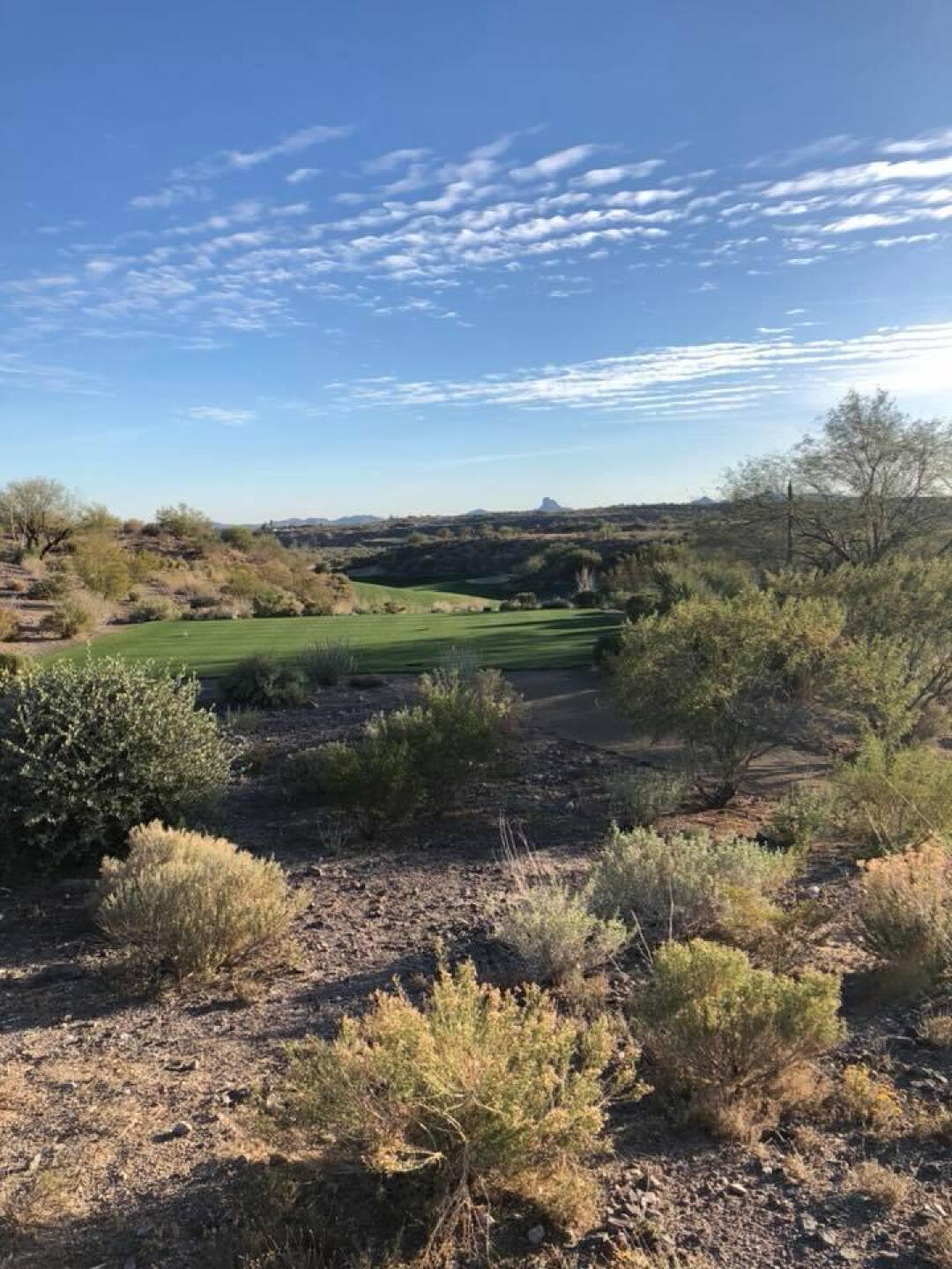 (Photo submitted by Ienjoygolfing75 on 01/18/2018)