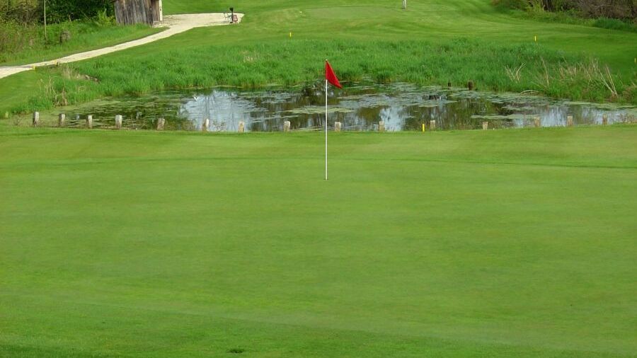 Branch River CC: #17