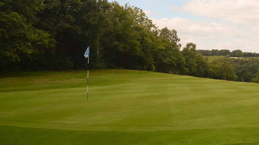 Puttenham GC: #4
