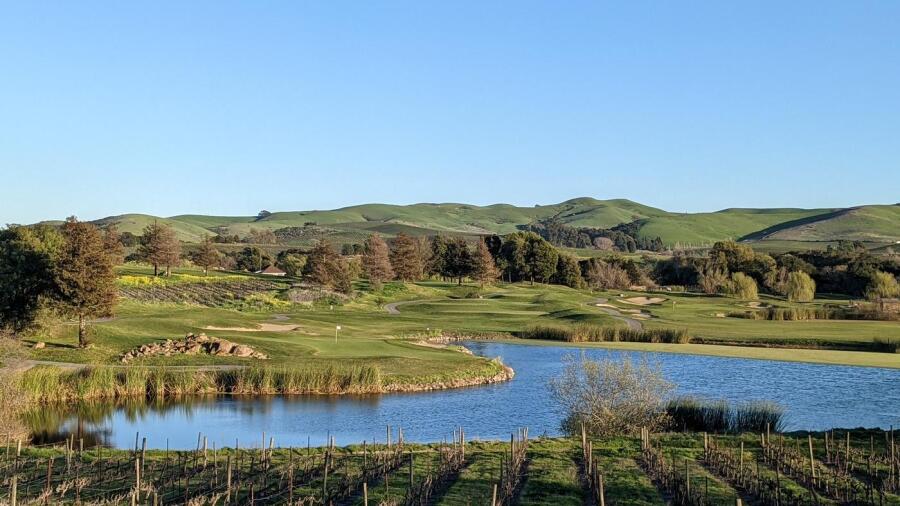 Eagle Vines - vineyard views 