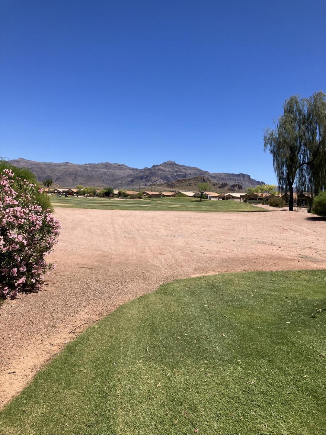 (Photo submitted by u314159916041 on 04/30/2023)