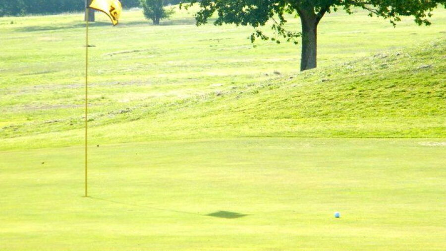 Lamesa CC: #6
