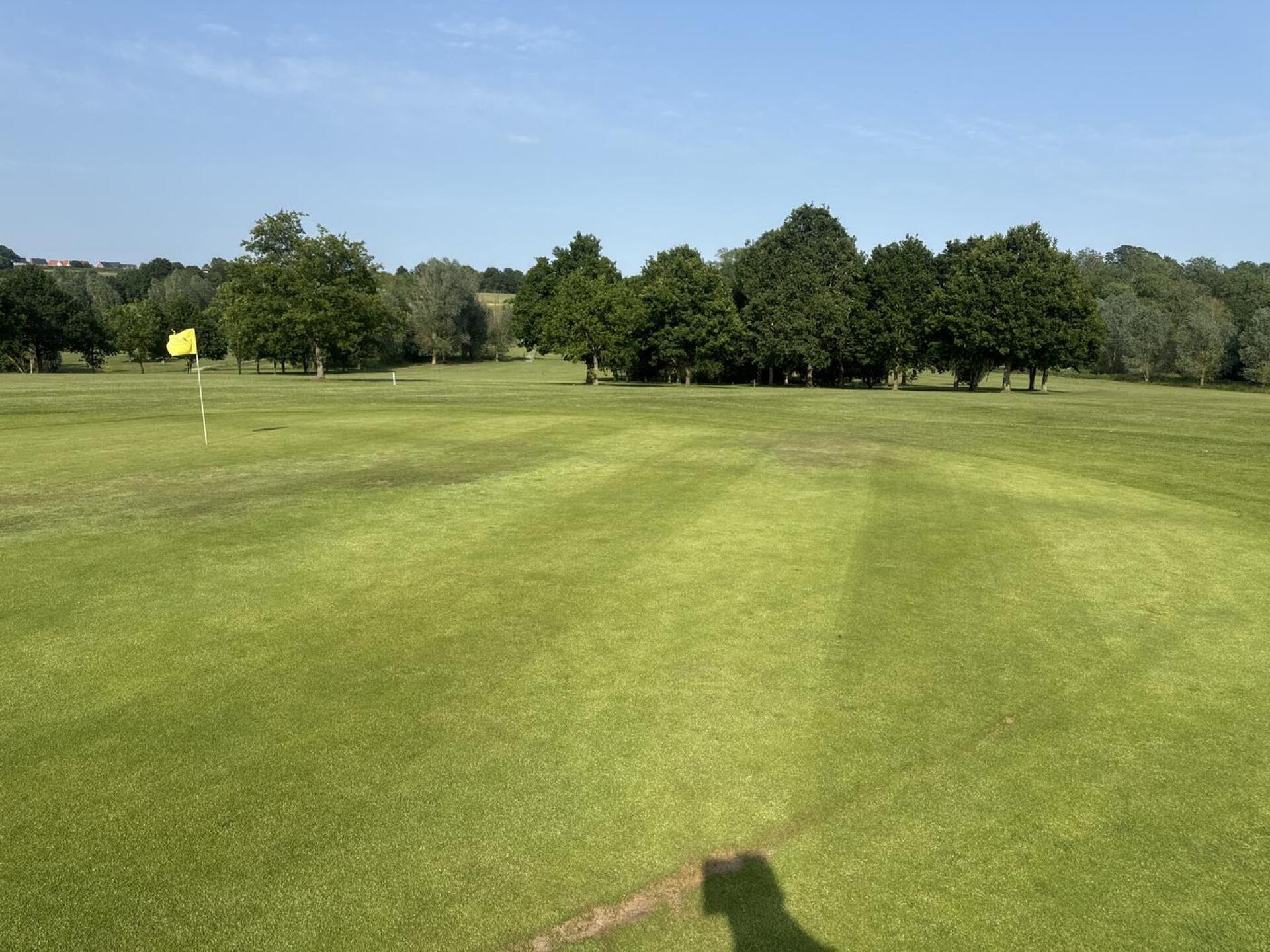 (Photo submitted by Bussie7 on 06/14/2025)