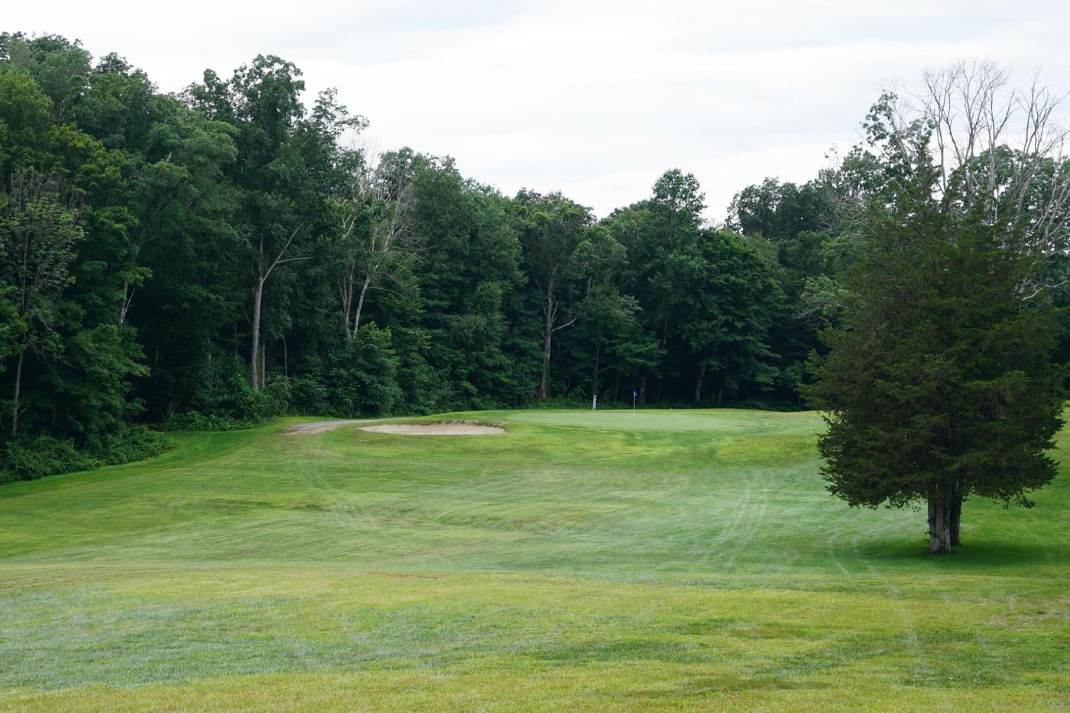 11th, par4, 351. Great, wavy Zikorus-designed hole, canting downhill--as well--from the right side. Should be drive-and-pitch. (Photo submitted by AptlyLinked on 08/04/2021)