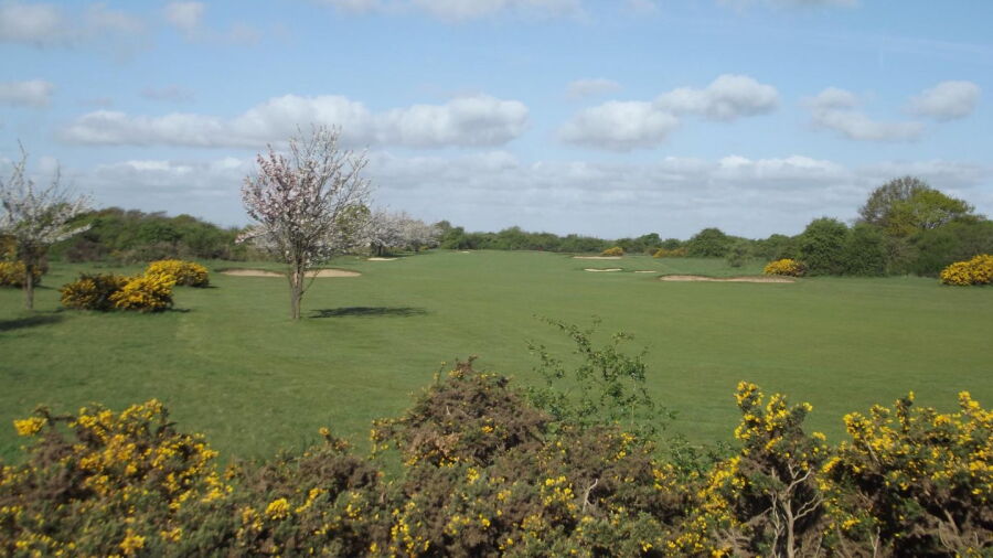 Orsett GC: #7