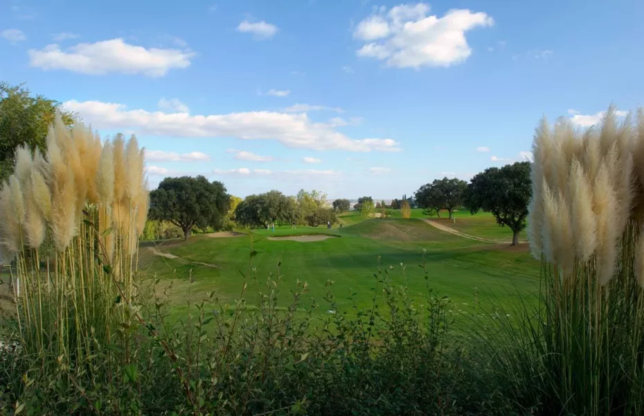 Jarama R.A.C.E. Club