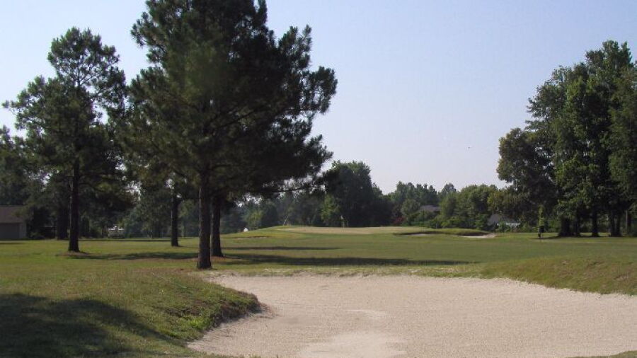 Shannon Greens GC: #3