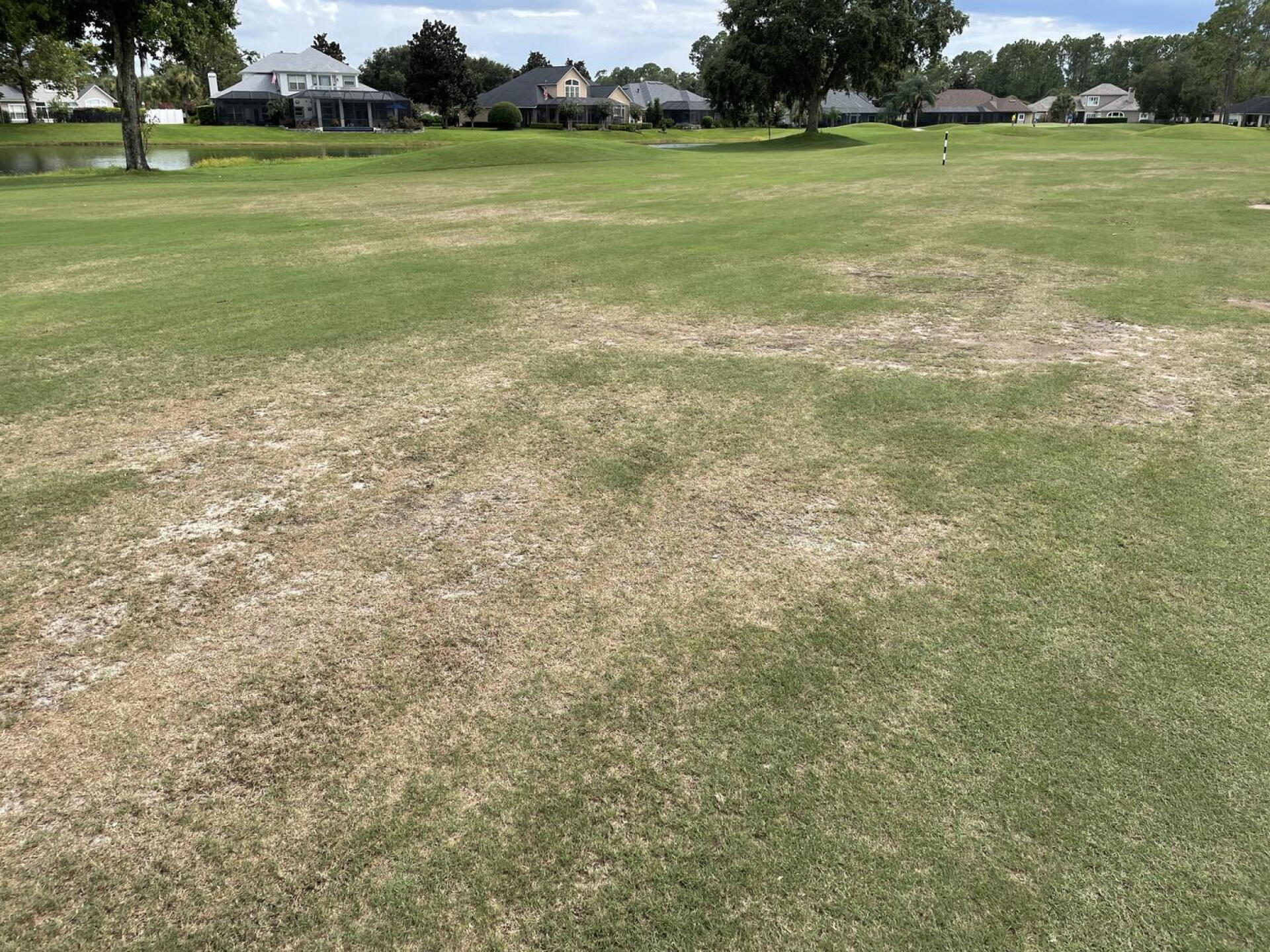 This was the Fairway on 15 (Photo submitted by u314161470409 on 08/23/2021)