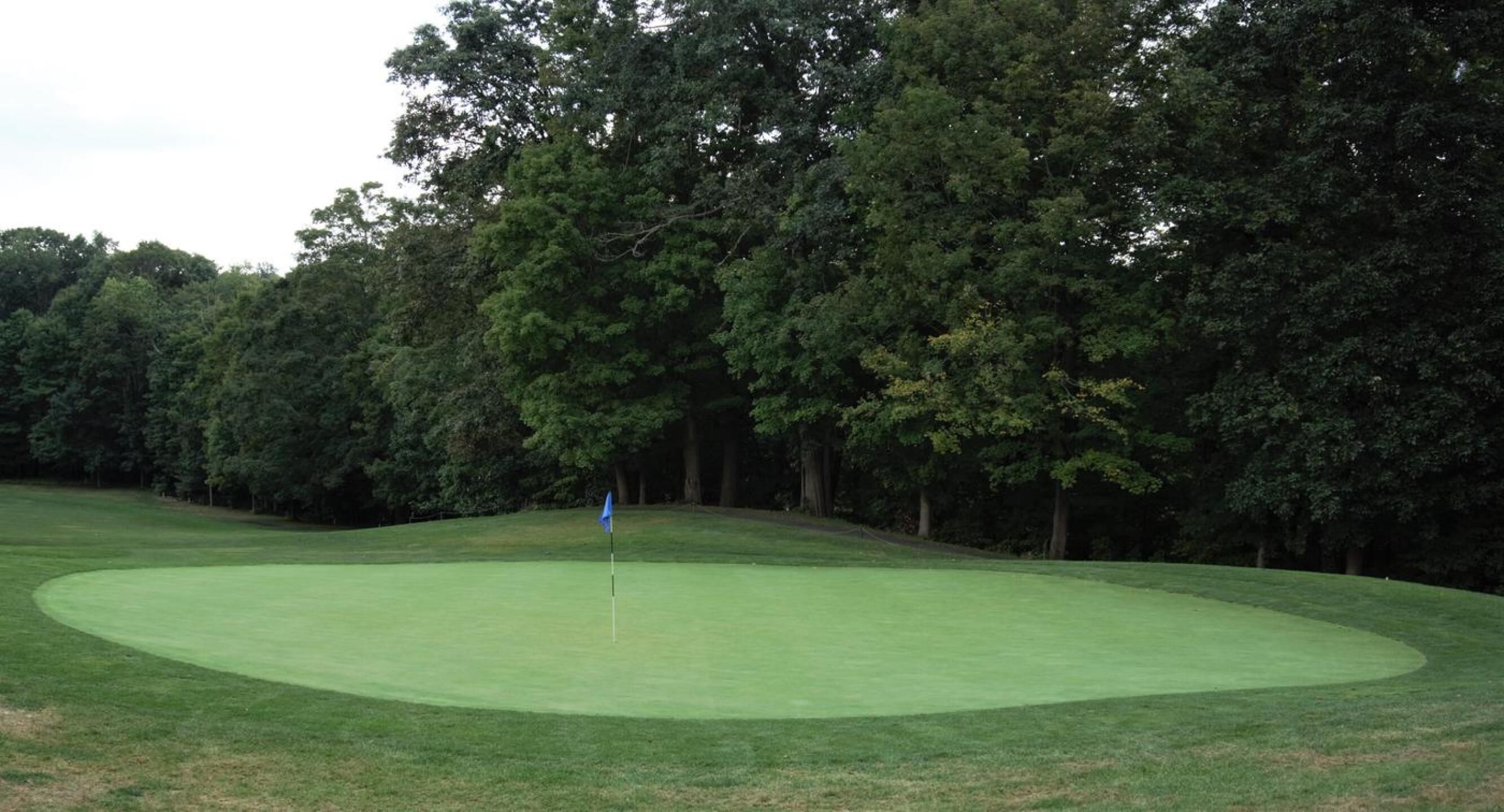 Conclusion to a beautiful woodland hole: the sixth green. (Photo submitted by AptlyLinked on 09/07/2020)