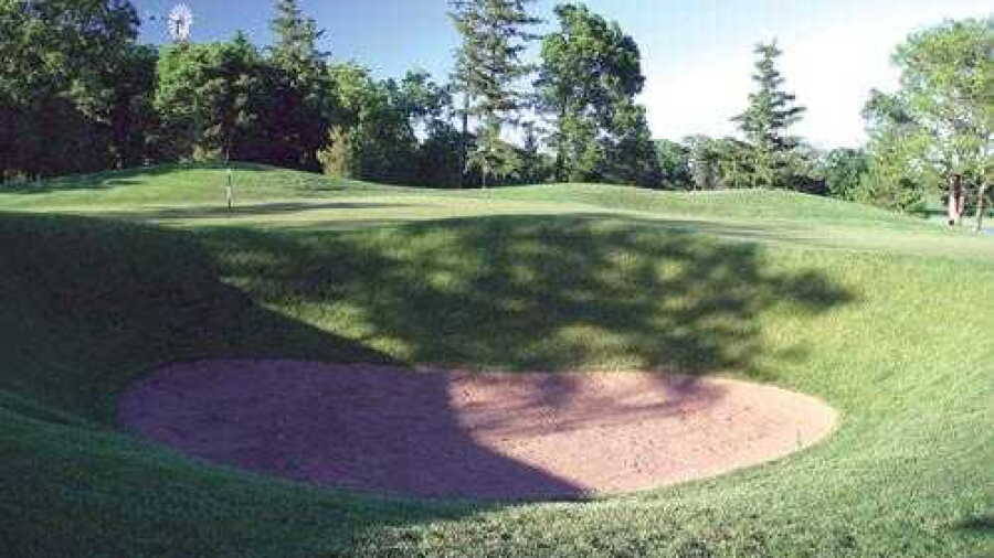 Ivanhoe Club - Forest: #8