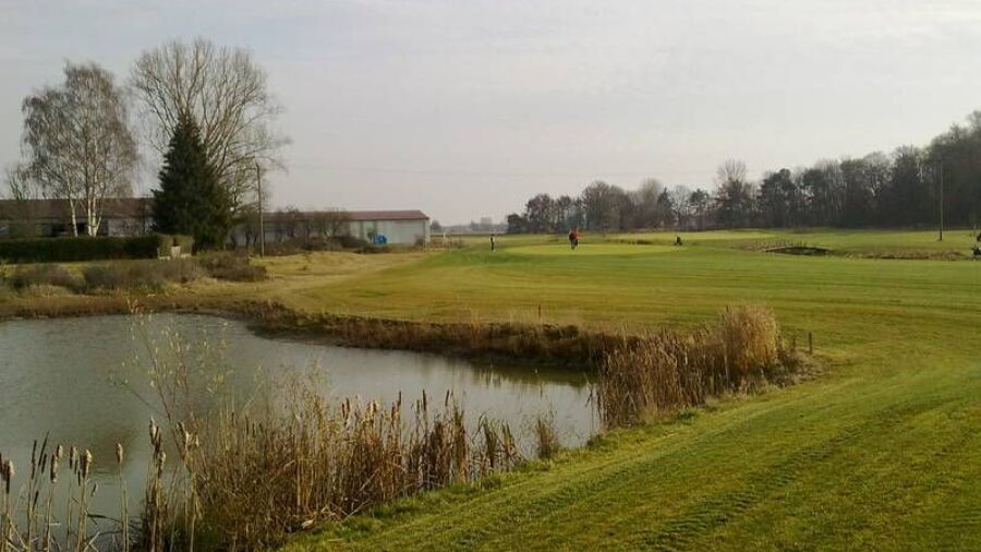 Zieglers GC: #8