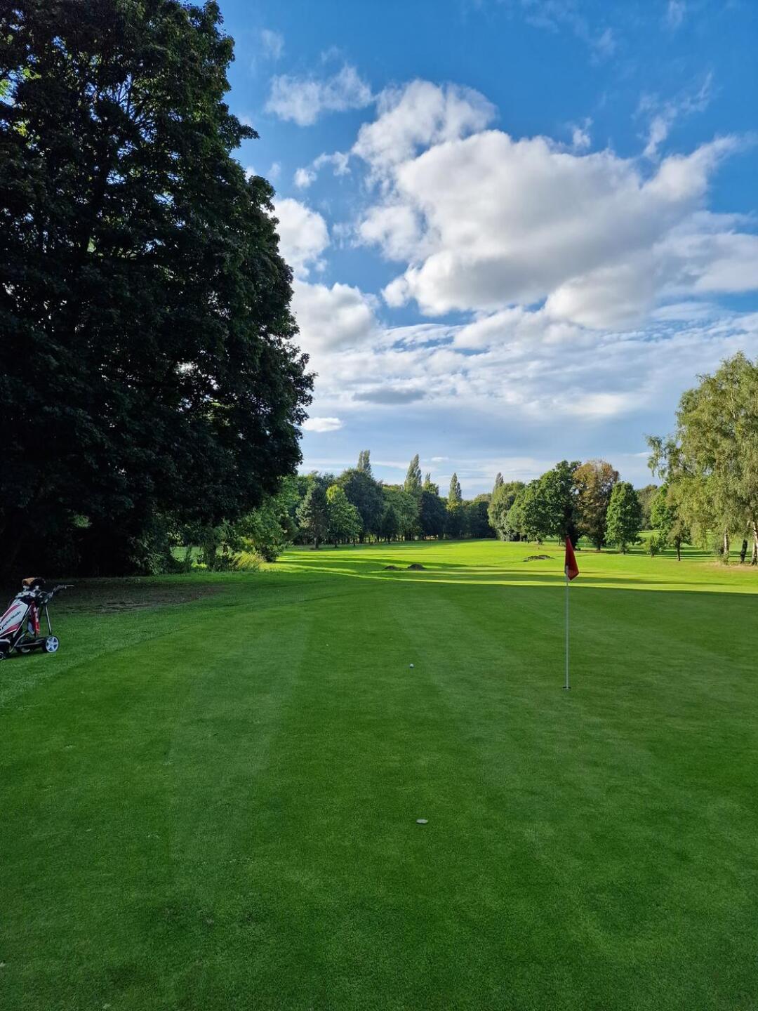 (Photo submitted by Sq971aT0katuZ8mHX9r6 on 09/15/2024)