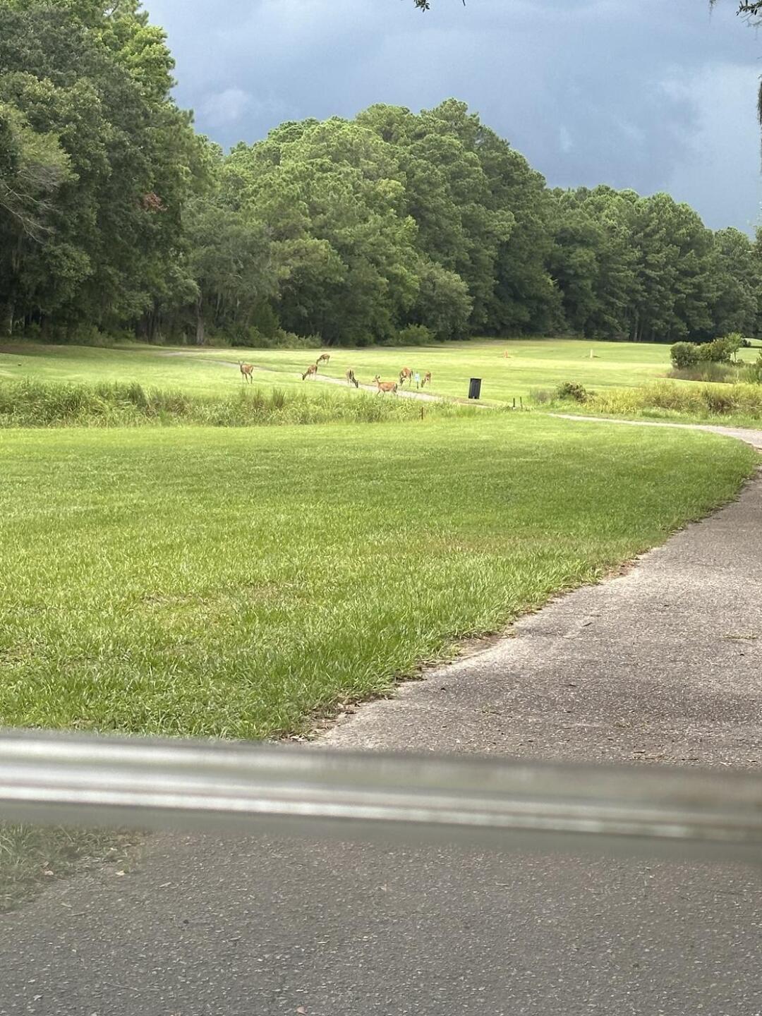 (Photo submitted by u000001623010 on 07/17/2024)