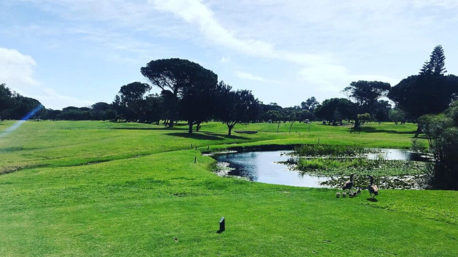 King David Mowbray GC