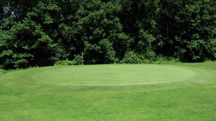 Vineyard Valley GC