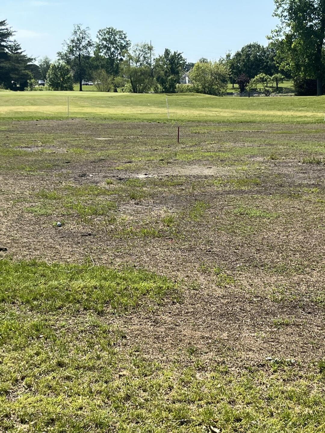 Fairway (Photo submitted by bdubbs2525 on 05/18/2025)