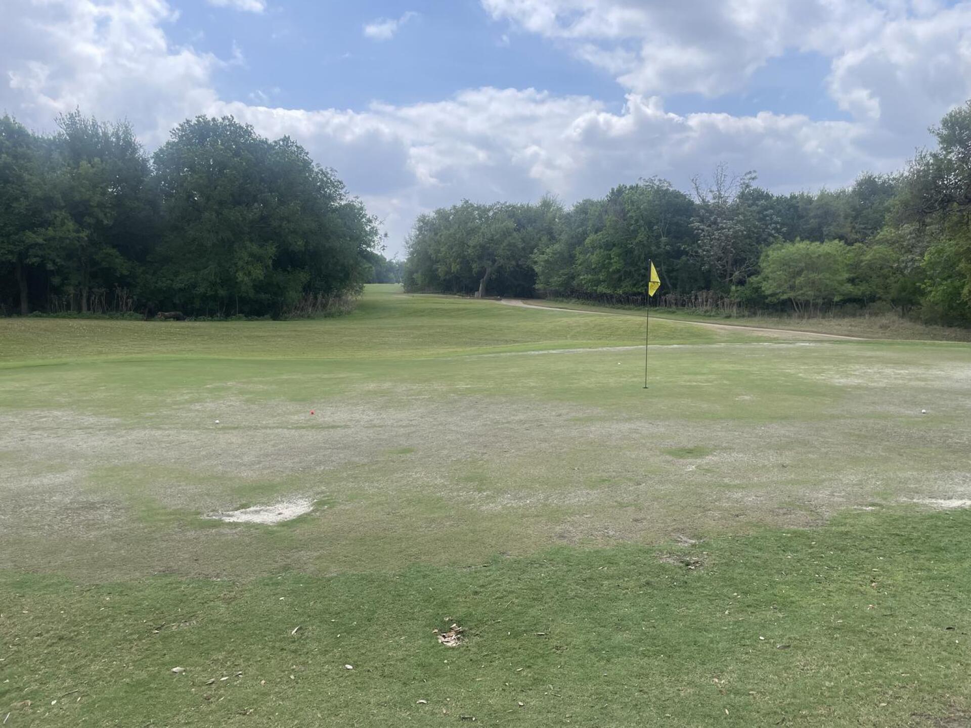 (Photo submitted by david5382335 on 04/01/2026)