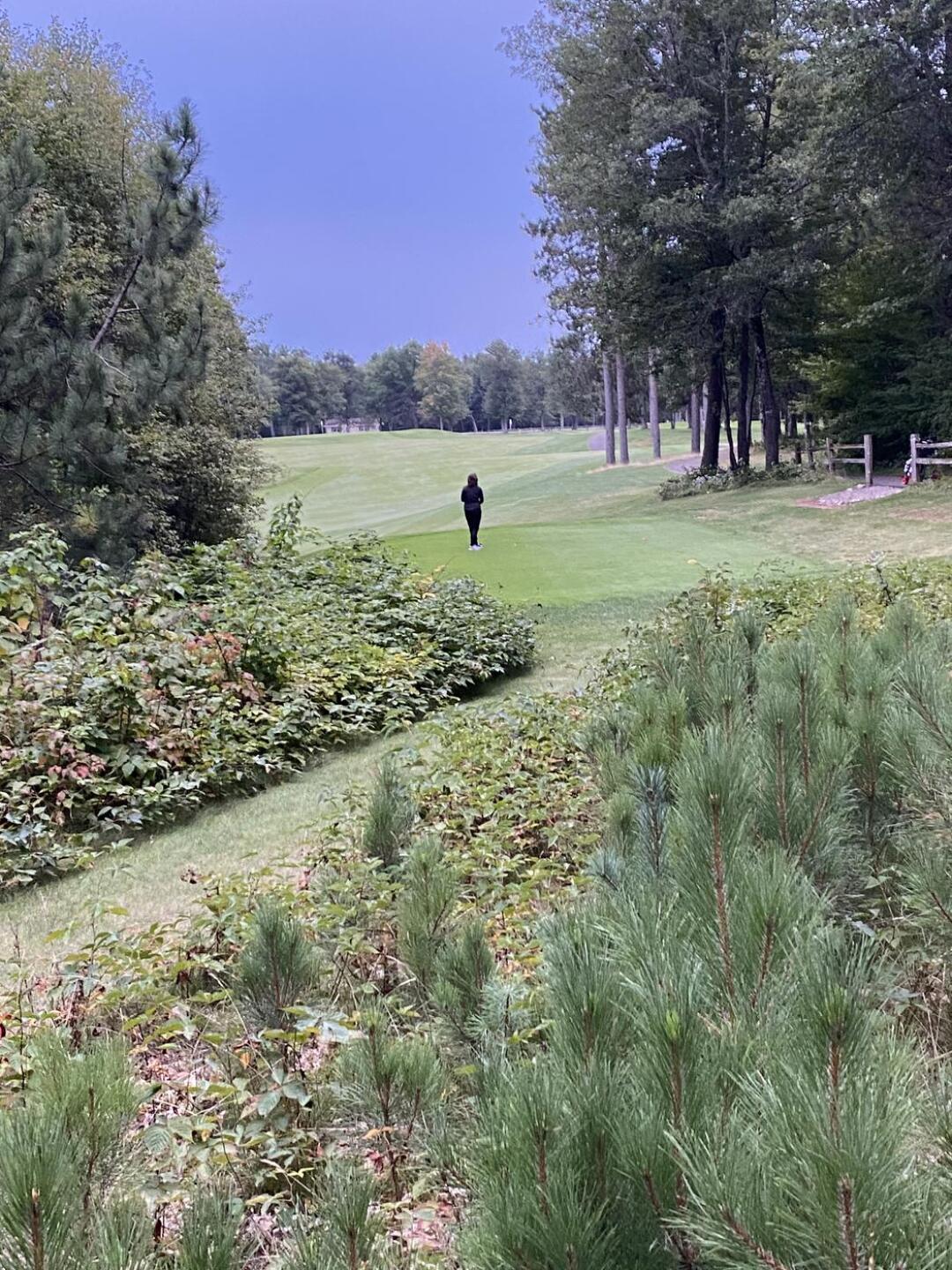 (Photo submitted by u314161555131 on 08/12/2022)