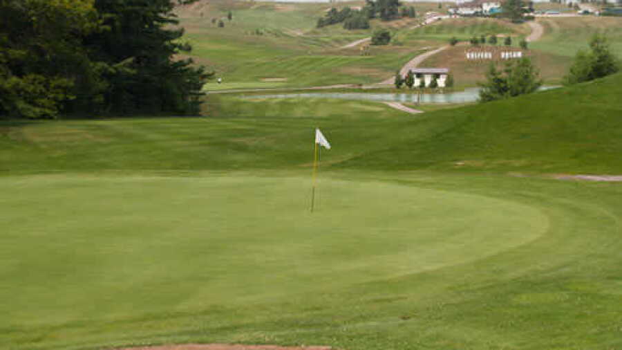 Golfer's Dream: #8