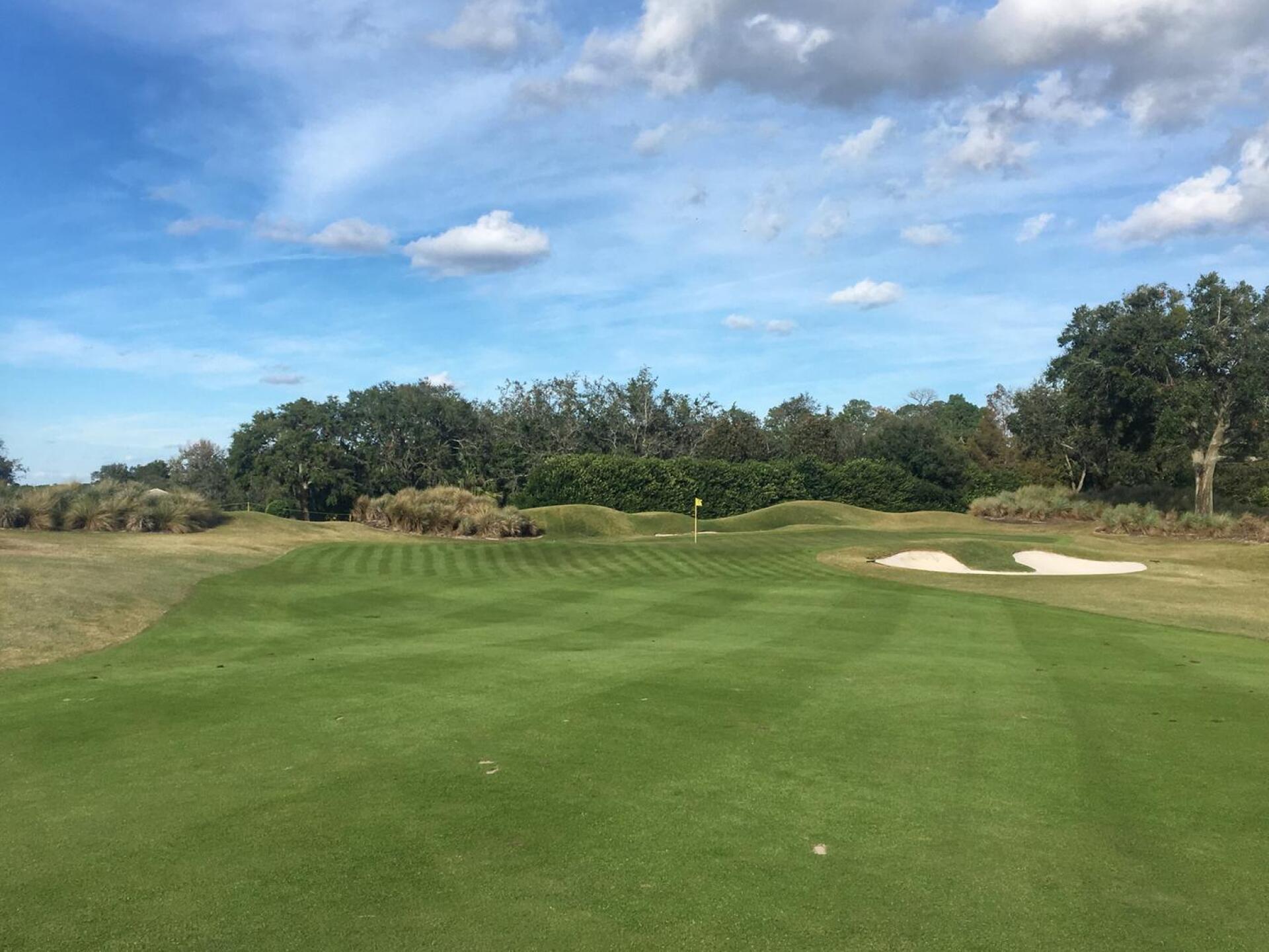 (Photo submitted by JEKelley on 01/05/2018)