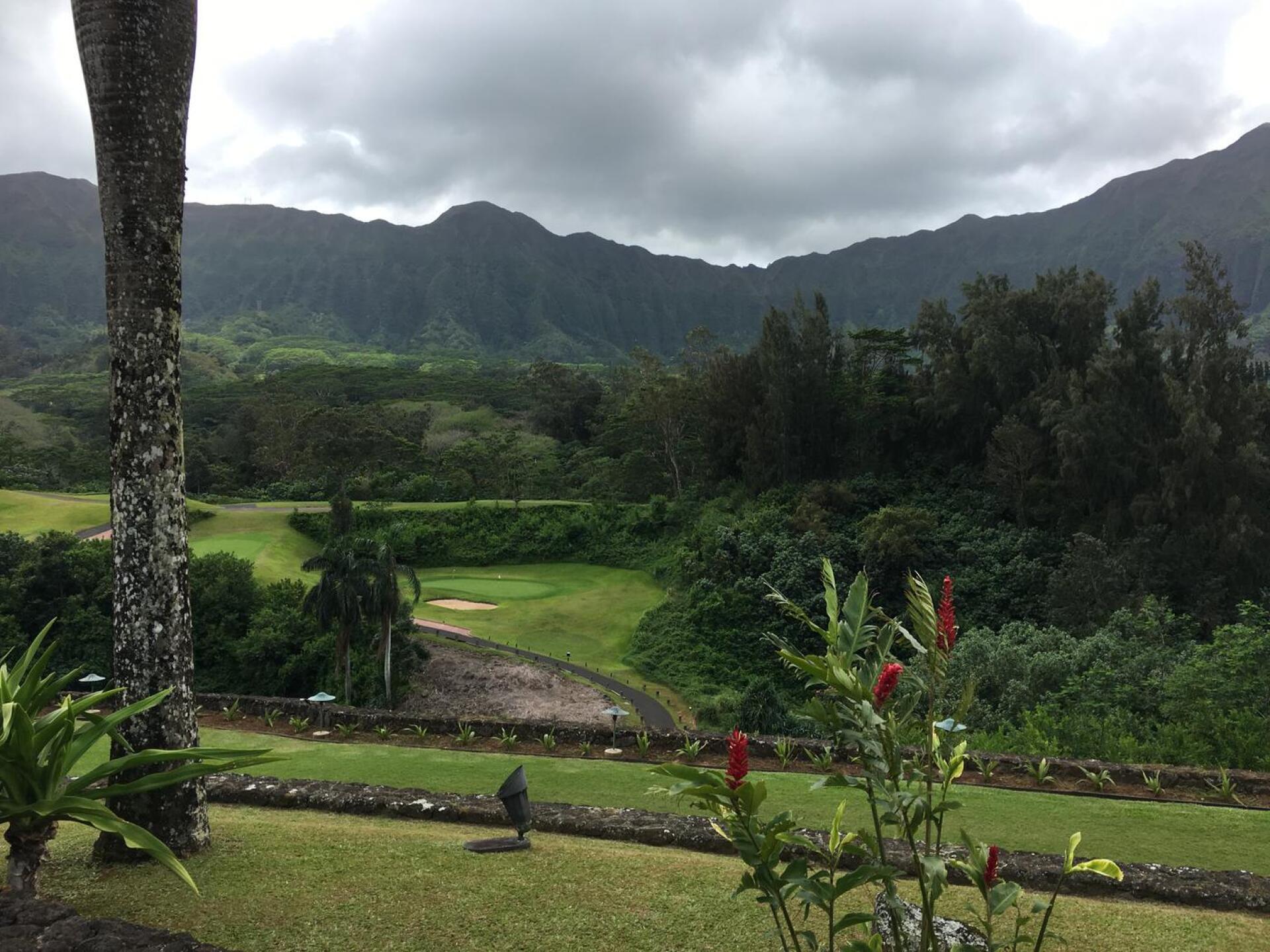 (Photo submitted by xkyleclark3 on 04/09/2017)