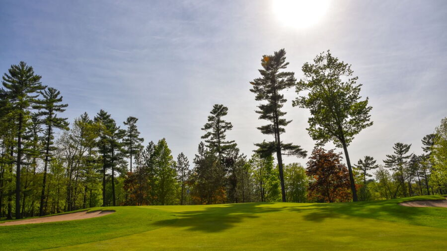 Bullseye GC: #11