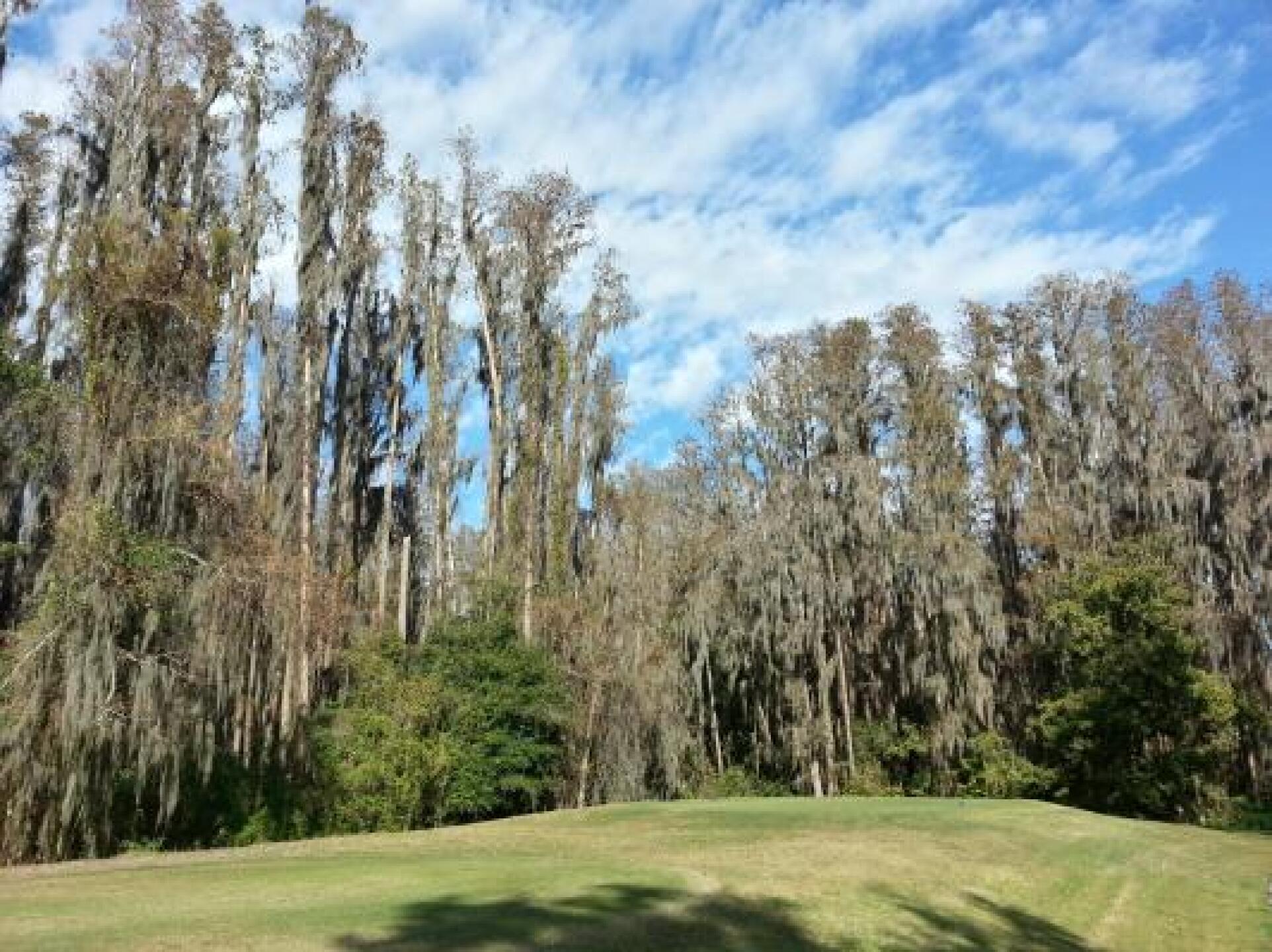 #9 Tee Box (Photo submitted by David5354608 on 12/24/2013)