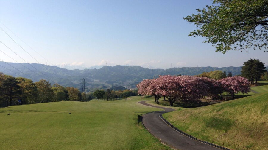 Northern CC - Jyomo: #1