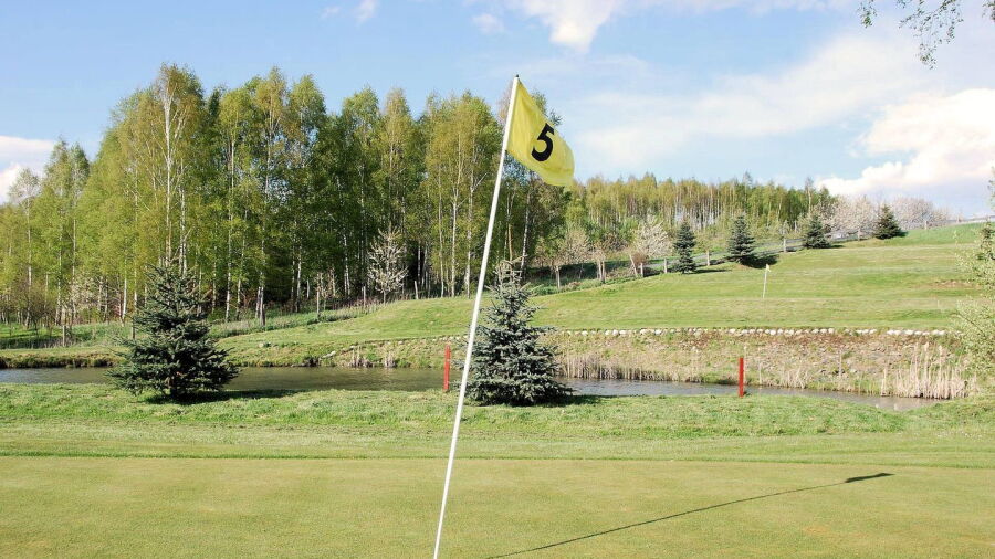 Gorko GCC: #5