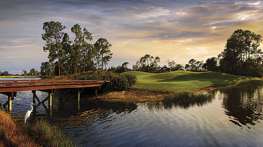 Grey Oaks CC - Pine