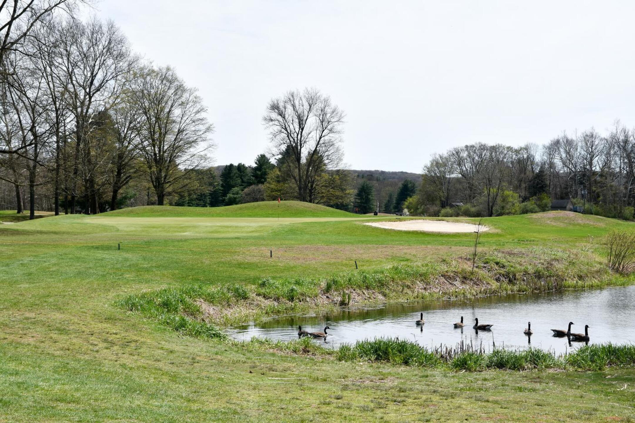 Pomperaug is hardly a rugged nine; it is flat except for some artificial mounds. Still, water hazards appear on every hole. (Photo submitted by AptlyLinked on 04/24/2026)