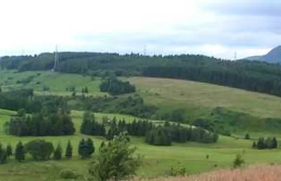 Hilton Park GC - Allander