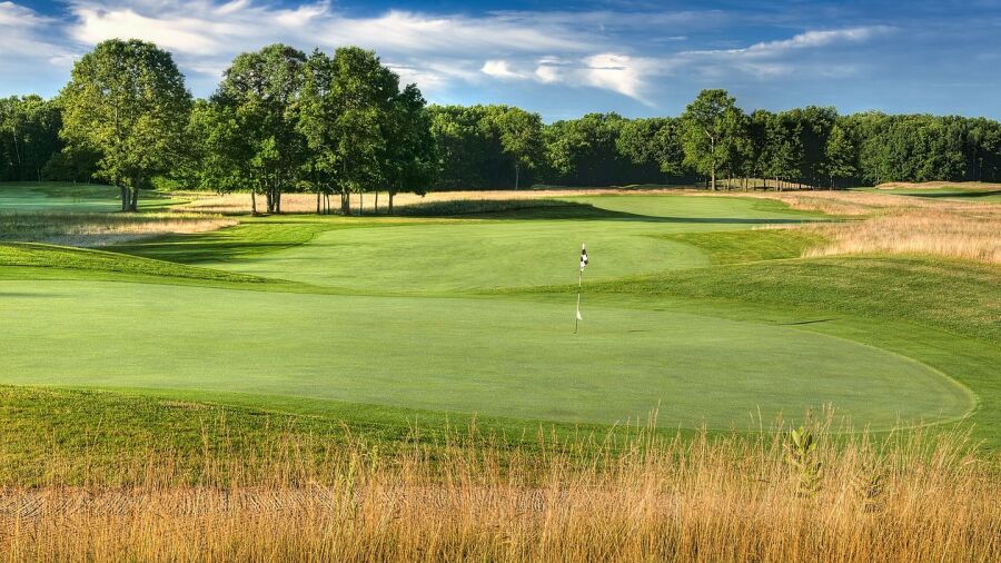 Cedar Chase: #7