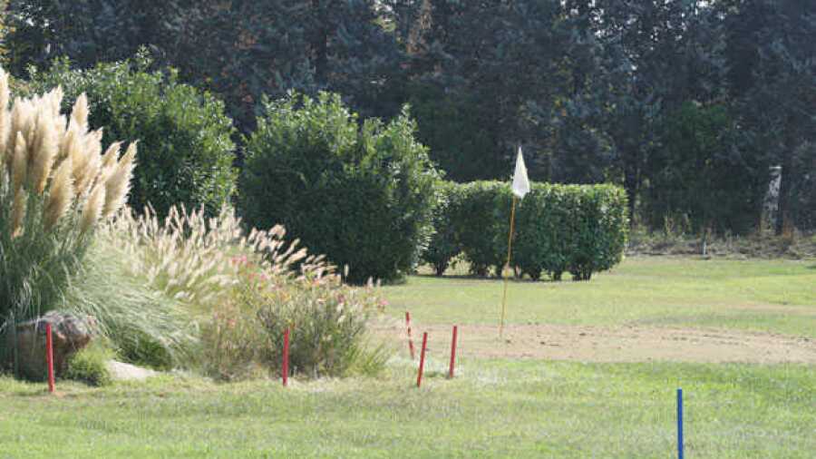 Idea Verde GC