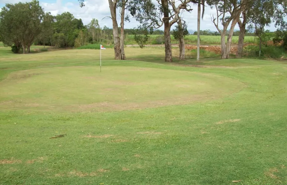 Black Springs GC: #5