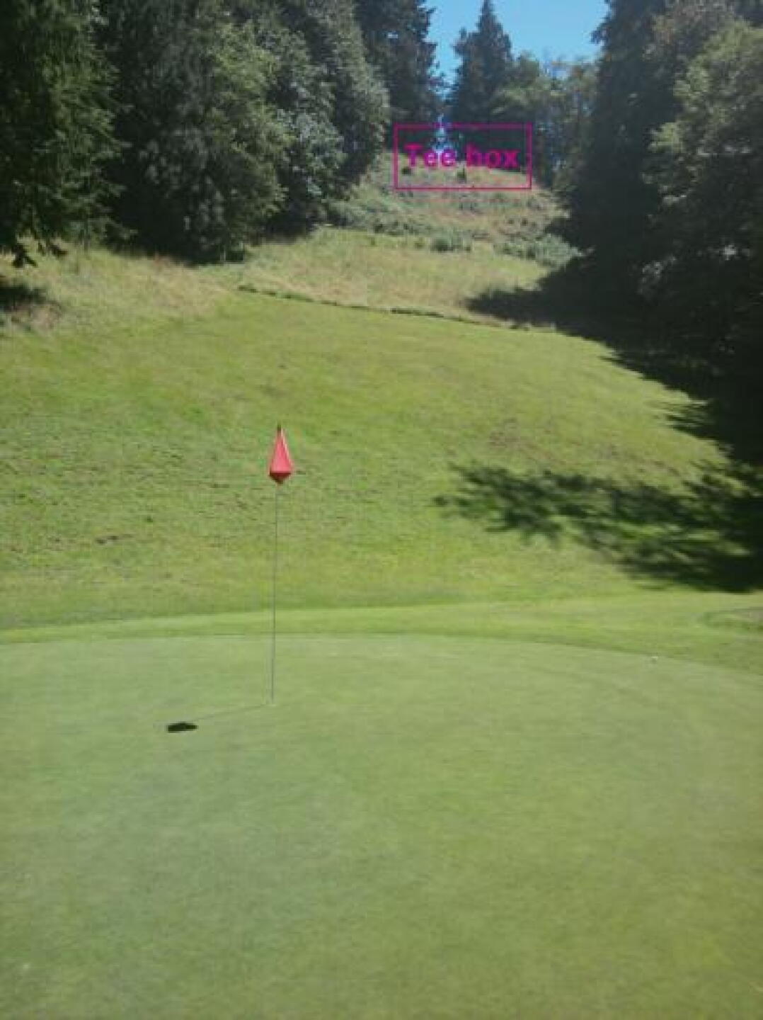 Put the ball on the green for birdie putt (Photo submitted by u000005647393 on 07/12/2013)