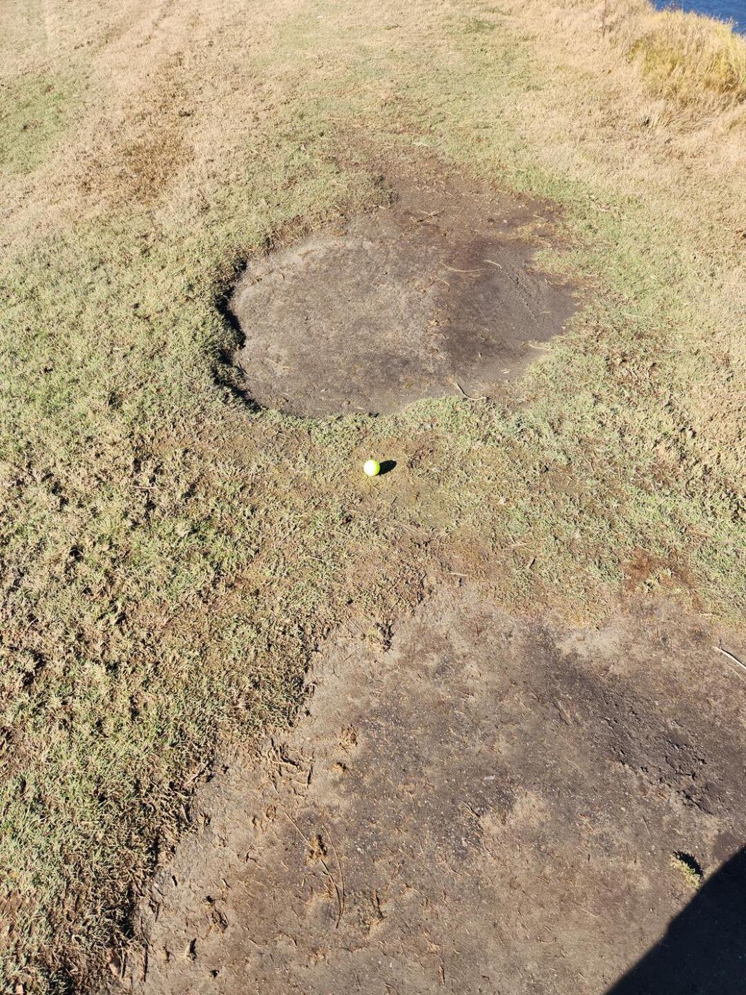 fairway?? (Photo submitted by FmlwbSezHl87LolHQBbX on 01/12/2023)