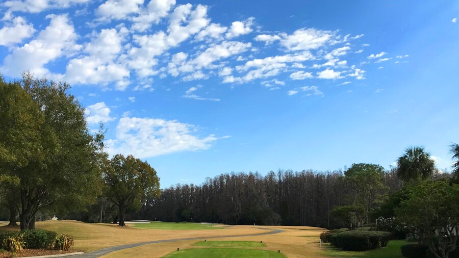 Saddlebrook Course at Saddlebrook Resort - no. 15