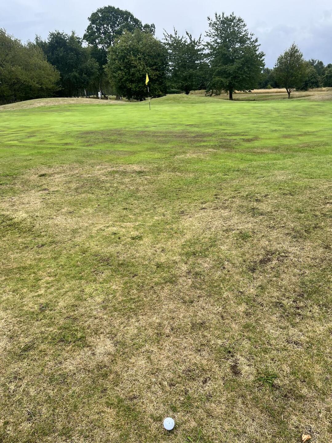 (Photo submitted by u314163853679 on 07/20/2025)