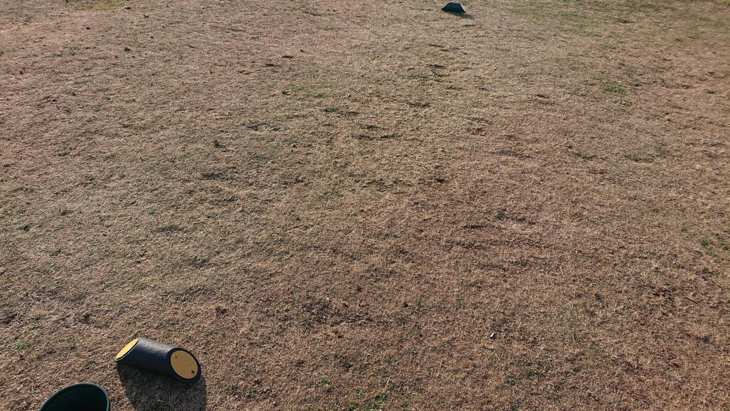 Tee (Photo submitted by u611104412 on 08/05/2021)