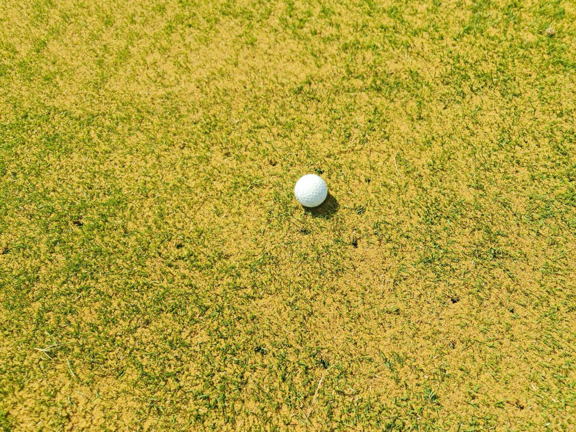 (Photo submitted by GolfingAnonymous77 on 10/17/2024)