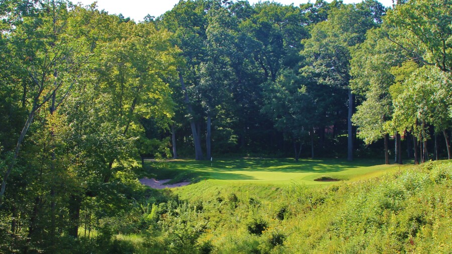 Bull at Pinehurst Farms golf course - hole 6