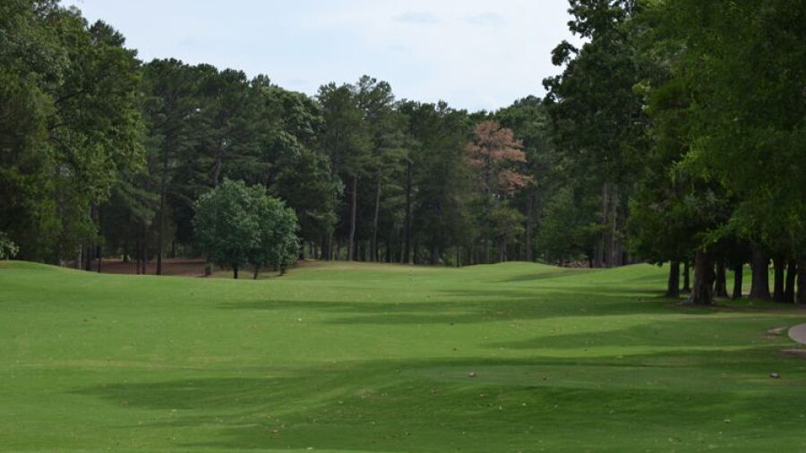 Garden Valley GR - Dogwood: #10