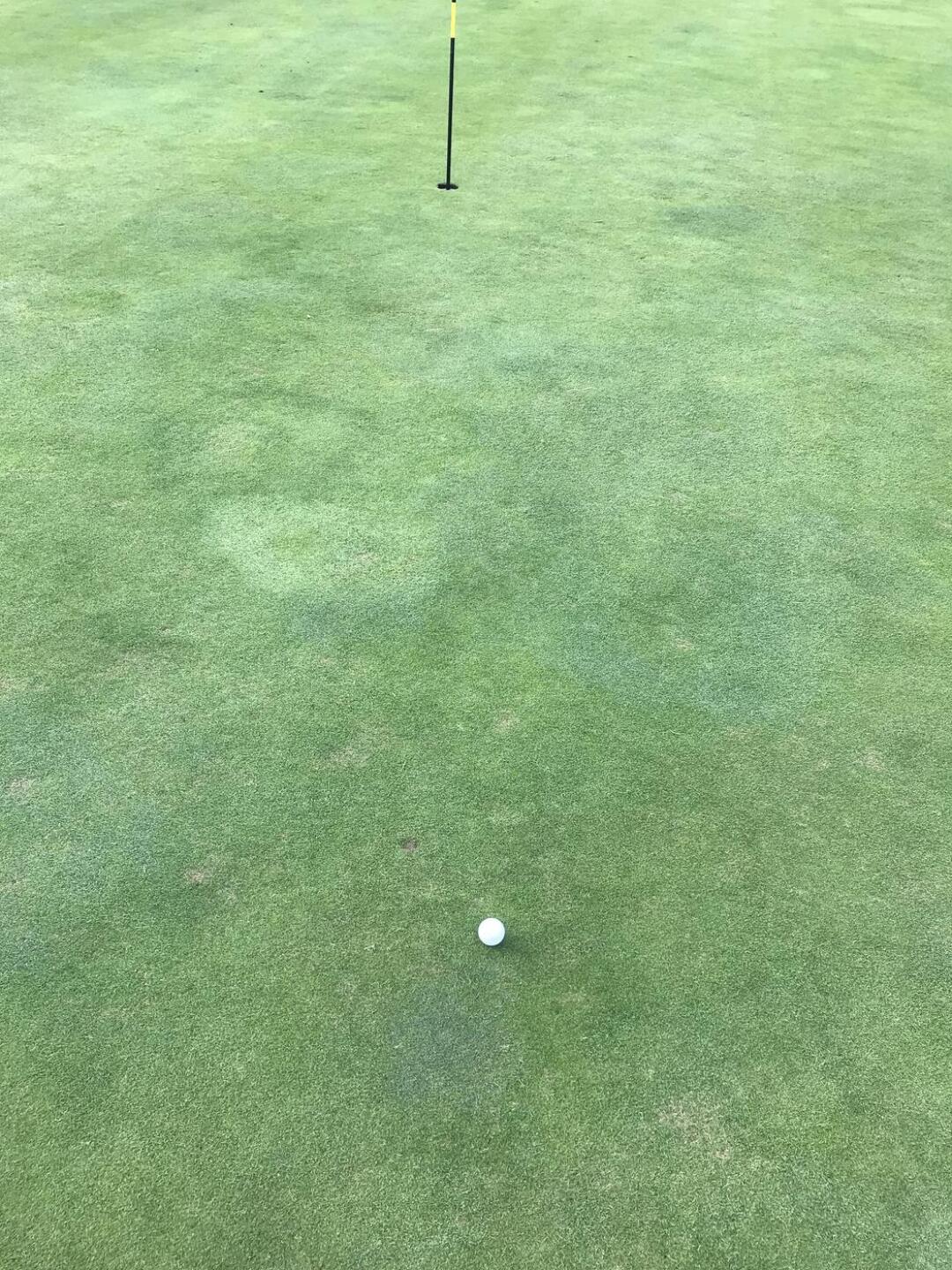 (Photo submitted by webby13 on 09/17/2023)