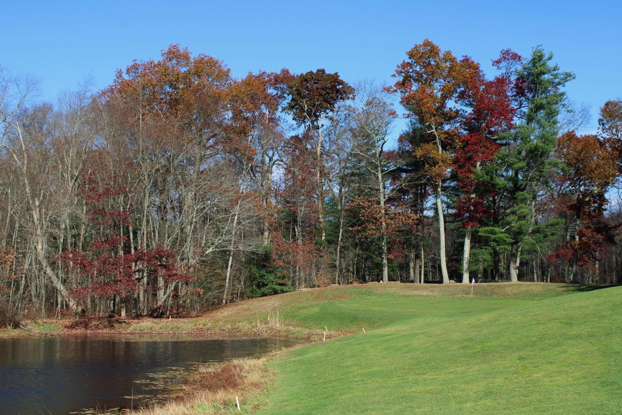Here is the pond and the green–a tough target for your approach at Tallwood’s 17th. (Photo submitted by AptlyLinked on 11/11/2024)
